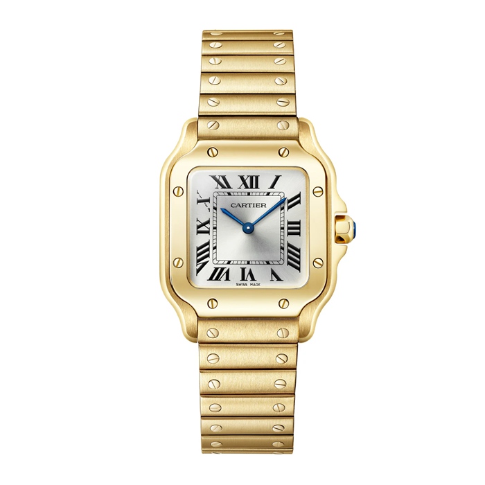 Cartier Santos De Cartier Petit Modèle Quartz Or Jaune WGSA0107