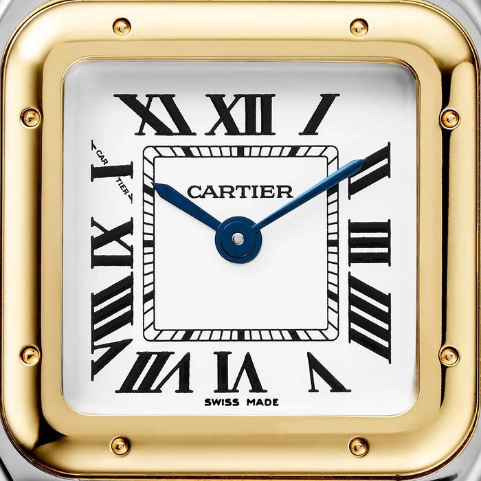 Montre Cartier Panthere De Cartier Petit Modèle Mouvement Quartz Or Jaune Acier W2PN0018 – Image 2