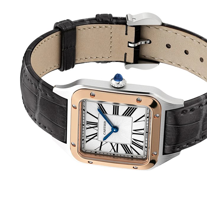 Montre Cartier Santos-Dumont Petit Modèle Mouvement Quartz Haute Autonomie Boîtier Acier W2SA0038 – Image 4