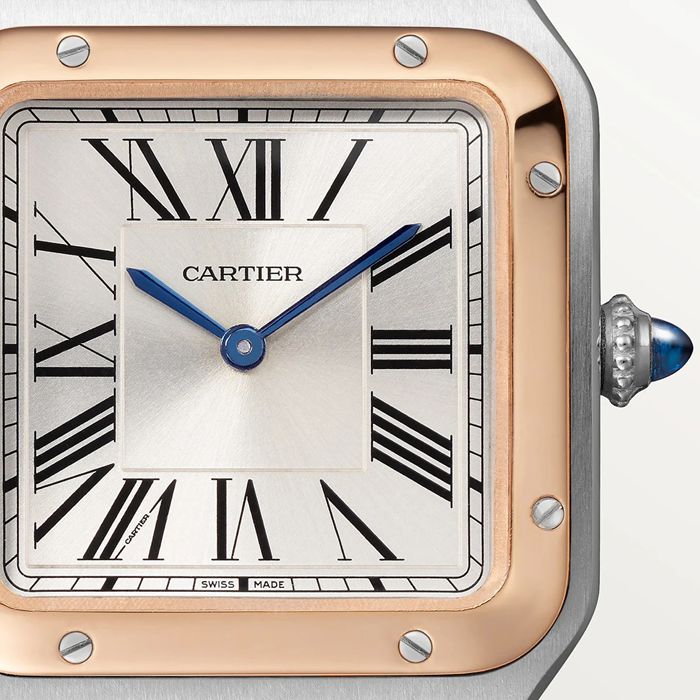 Montre Cartier Santos-Dumont Petit Modèle Mouvement Quartz Haute Autonomie Boîtier Acier W2SA0038 – Image 5