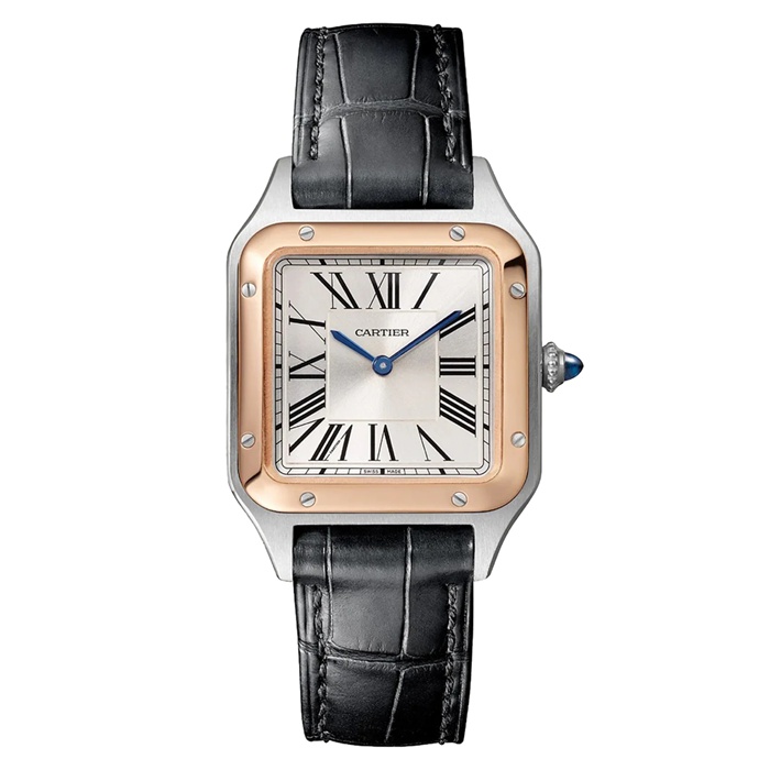 Montre Cartier Santos-Dumont Petit Modèle Mouvement Quartz Haute Autonomie Boîtier Acier W2SA0038