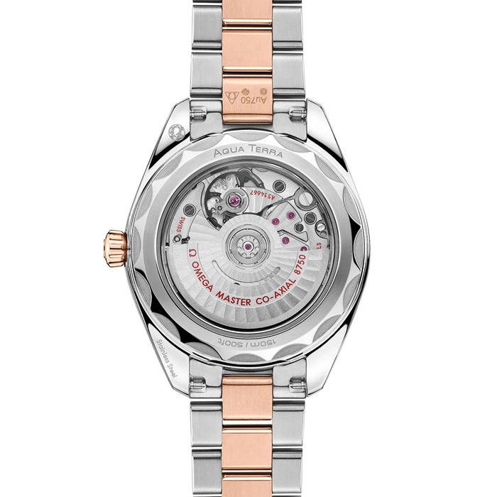 Montre Femme Omega Seamaster Aqua Terra 150M 30mm Marron O22020302063001 – Image 2