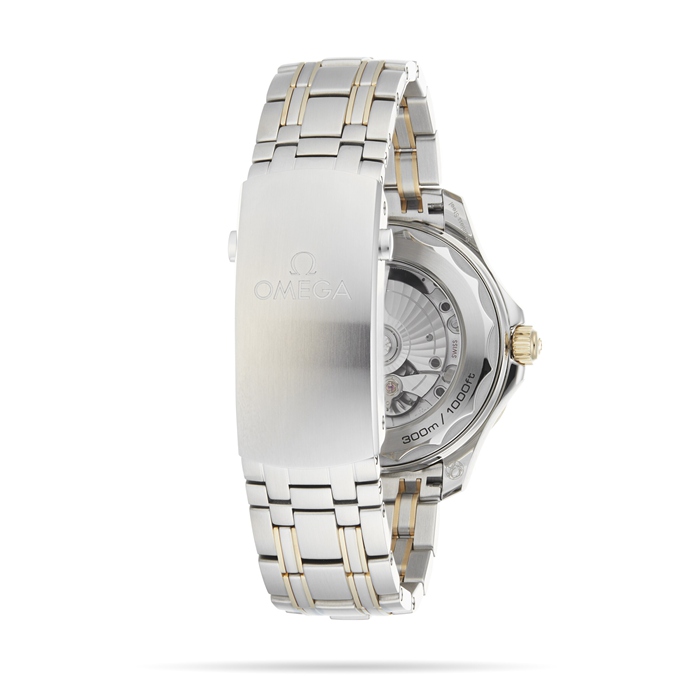 Montre Hommes Omega Seamaster Pro-Diver 300 O21020422001002 – Image 4