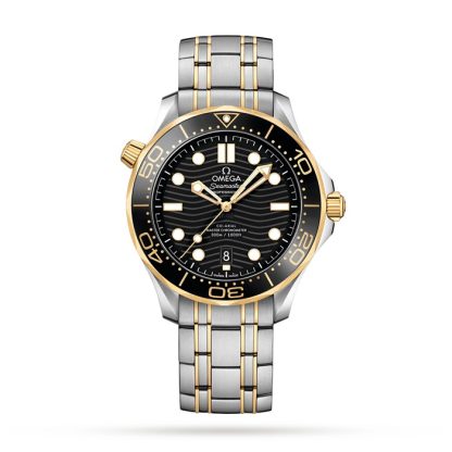 Montre Hommes Omega Seamaster Pro-Diver 300 O21020422001002