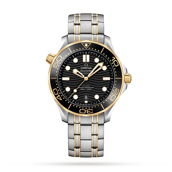 Montre Hommes Omega Seamaster Pro-Diver 300 O21020422001002