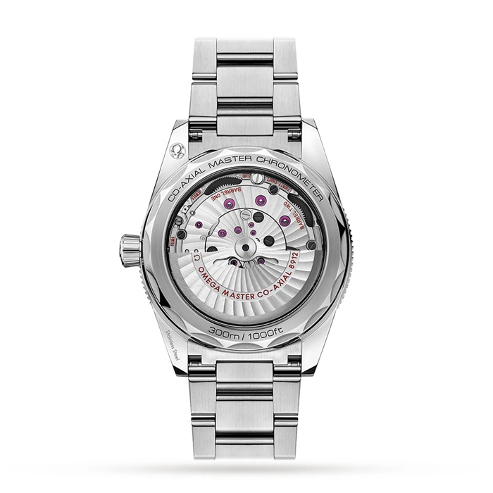 Omega Seamaster 300 Co-Axial Master Chronometer 41mm Montre Homme O23430412101001 – Image 2