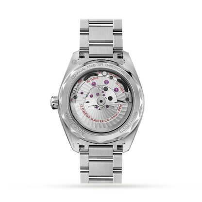 Omega Seamaster Aqua Terra 41mm Montre Homme O22010412102002 – Image 2
