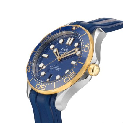 Omega Seamaster Pro-Diver 300 Montre Homme O21022422003001 – Image 5