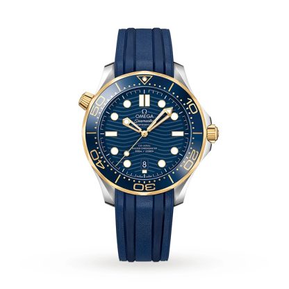 Omega Seamaster Pro-Diver 300 Montre Homme O21022422003001
