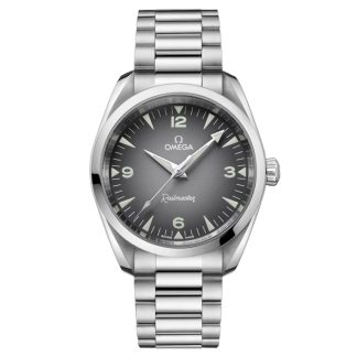 Omega Seamaster Railmaster 38mm Montre Homme Gris O23510382006001
