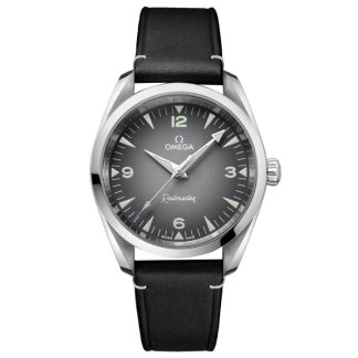Omega Seamaster Railmaster Montre Hommes 38mm Cuir Gris O23512382006001